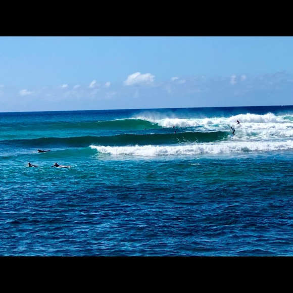 Meet your Posher, Ivy - Picture 3 of 10